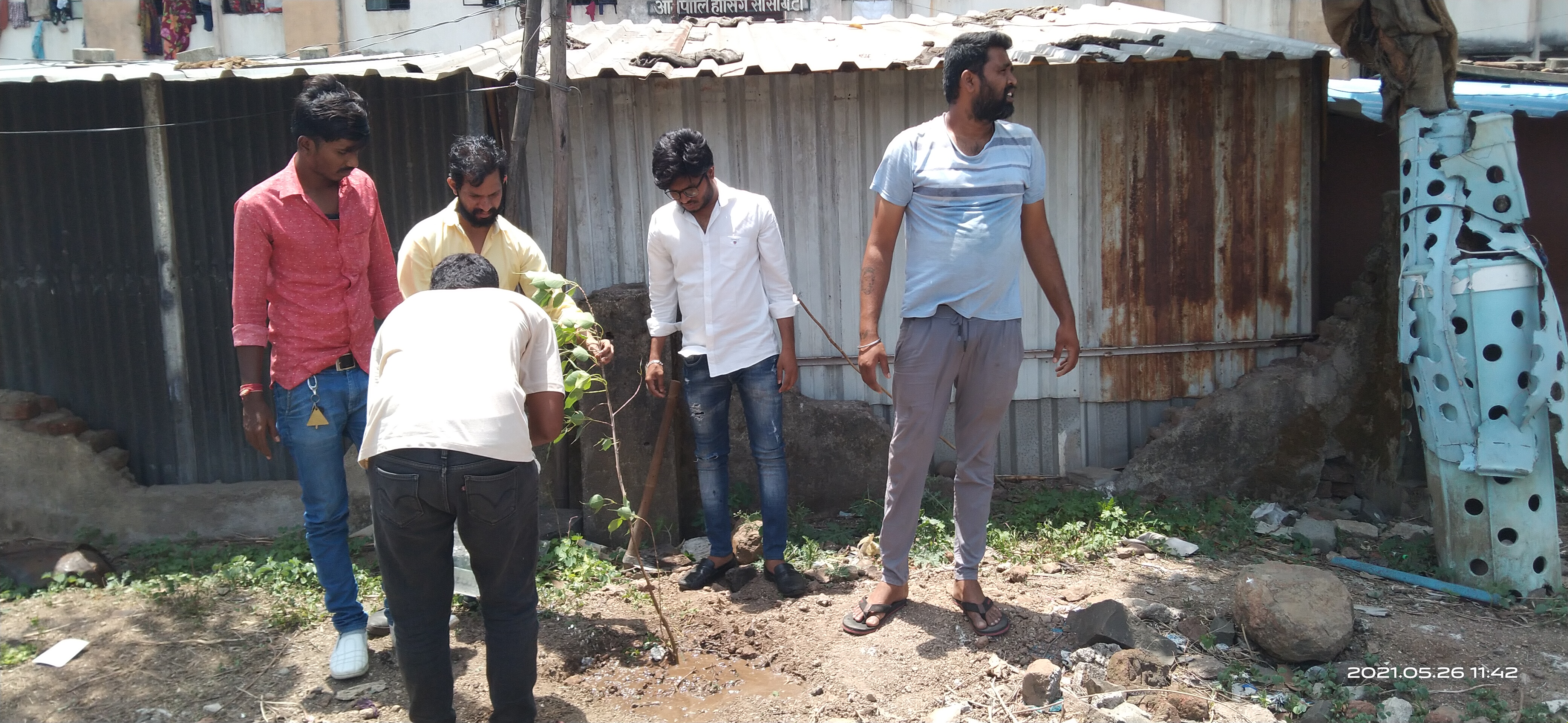 Tree plantation drive